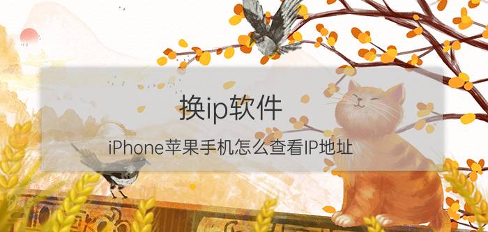 换ip软件 iPhone苹果手机怎么查看IP地址？